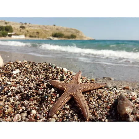 Skizenas Waterfront Apartament