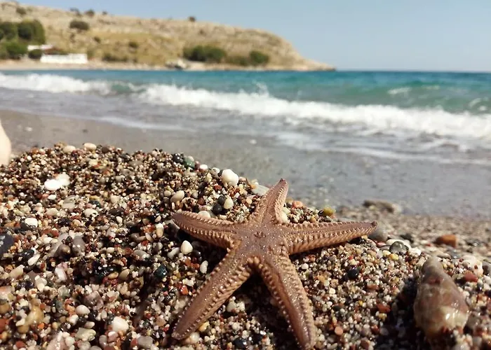 Skizenas Waterfront شقة